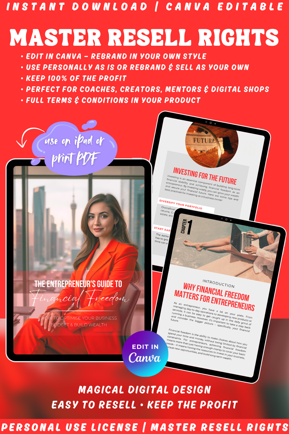 Promotional graphic for a digital product "The entrepreneur's guide to financial freedom" with text about personal use license and master resell rights on a red background.