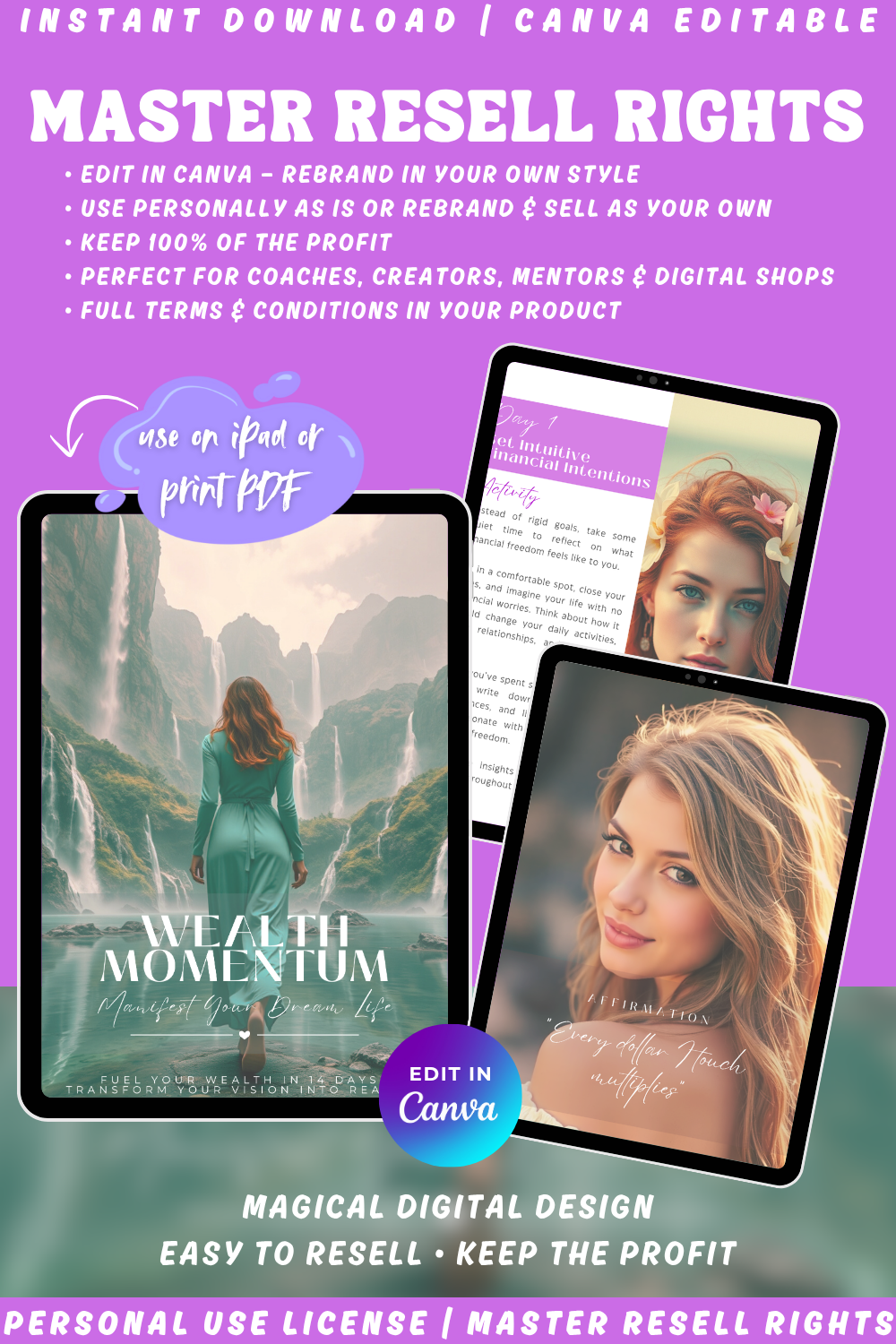 Promotional graphic for the guide "Wealth momentum - manifest your dream life - fuel your wealth in 14 days - transform your vision into reality". Easy to resell, keep the profit. available in personal use license, private label rights, and master resell rights. 
