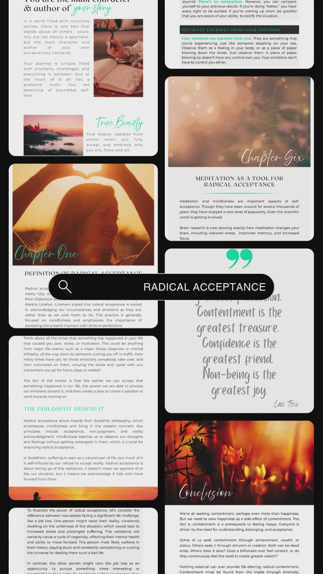 Video showcasing previews of the guide and workbook "Radical Acceptance".