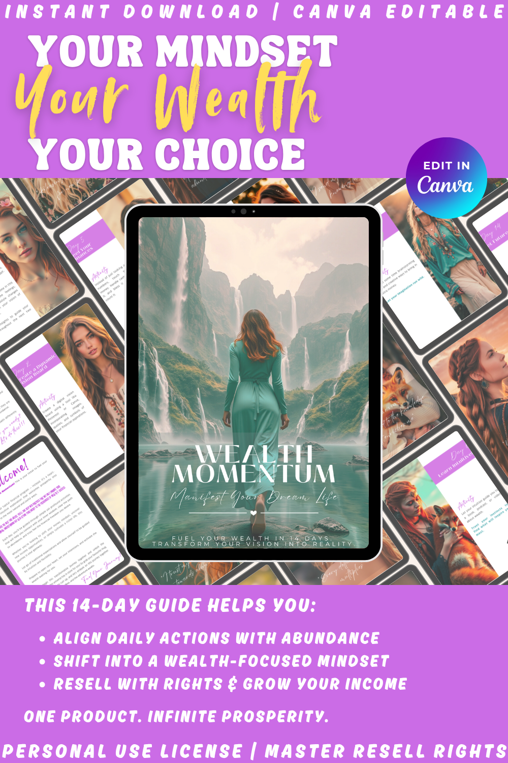 Ebook cover of 'Wealth Momentum - manifest your dream life - fuel your wealth in 14 days  transform your vision into reality". This guide helps you shift into a wealth-focused mindset and grow your income. Available in personal use license, private label rights, and master resell rights. 